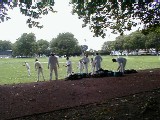 Cricket